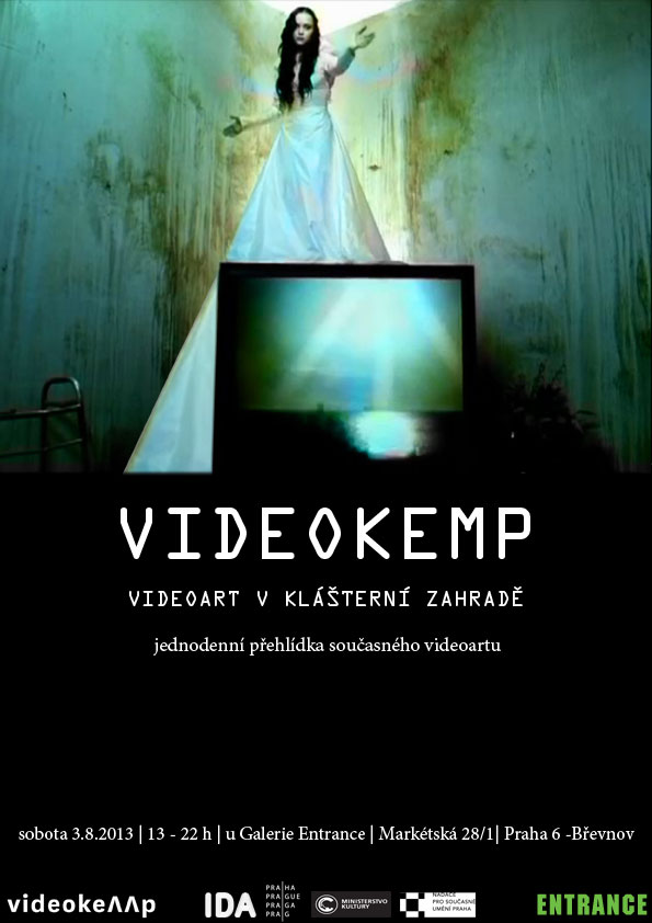 Videokemp-2013_small